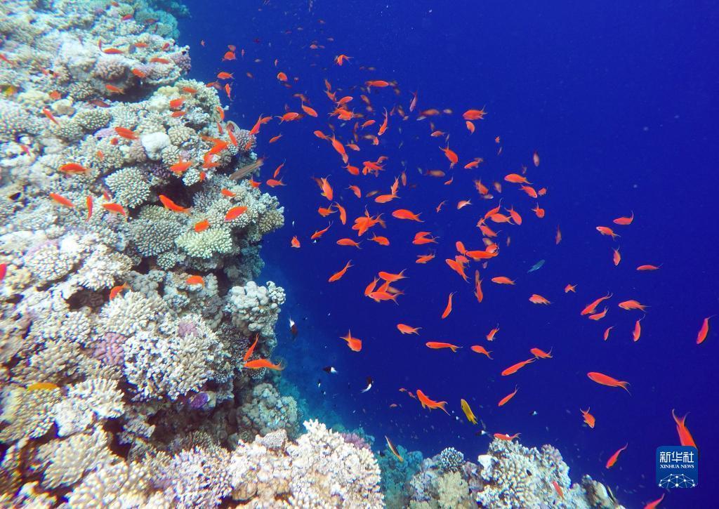 新濠天地赌场官